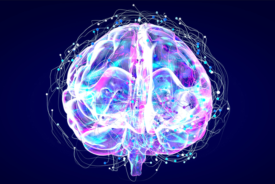 The impact of AI on budding businesses