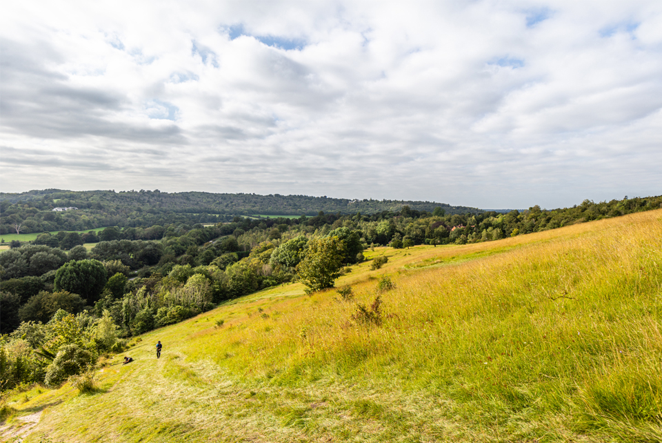 Box Hill Hike