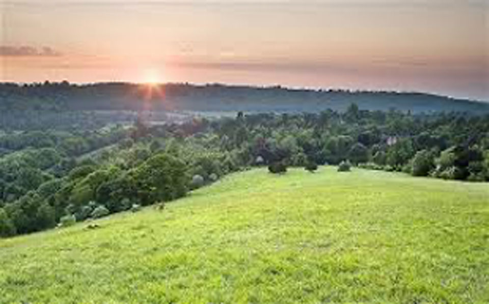 Box Hill Hike