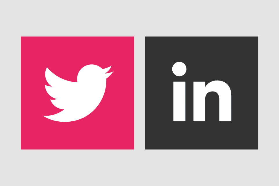 Linkedin & Twitter Icons