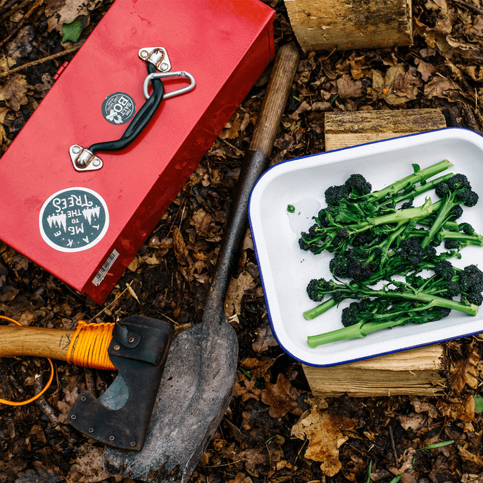 Salt Box tools